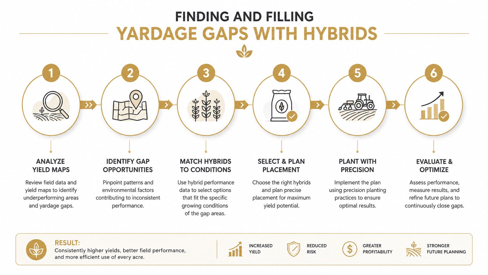 A six-step infographic on optimizing farm yields by filling performance gaps with the right hybrid seeds.